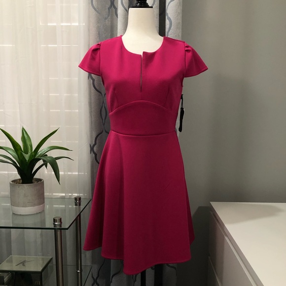 Hot Pink Midi Dress - Picture 1 of 3